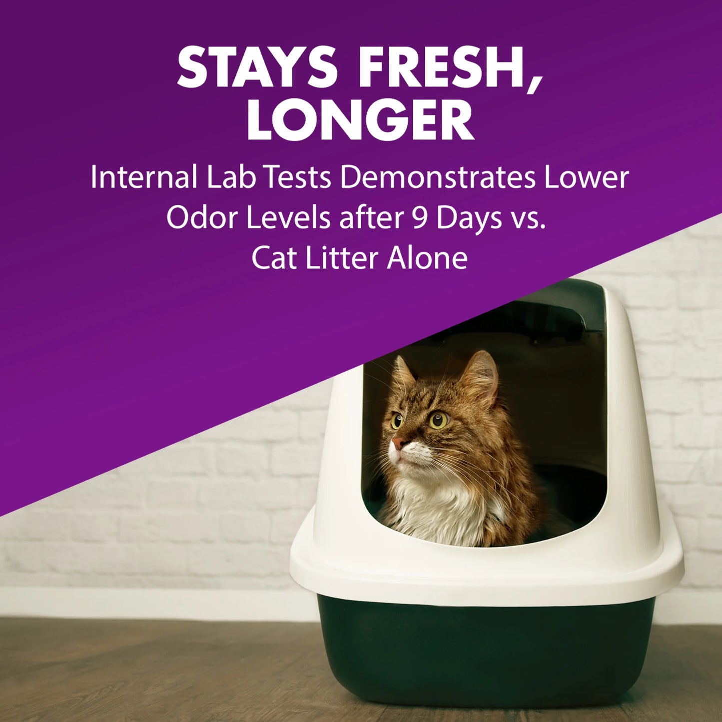 (2 Pack) Double Duty Cat Litter Deodorizer and Pet Odor Eliminator, 33 Oz Box