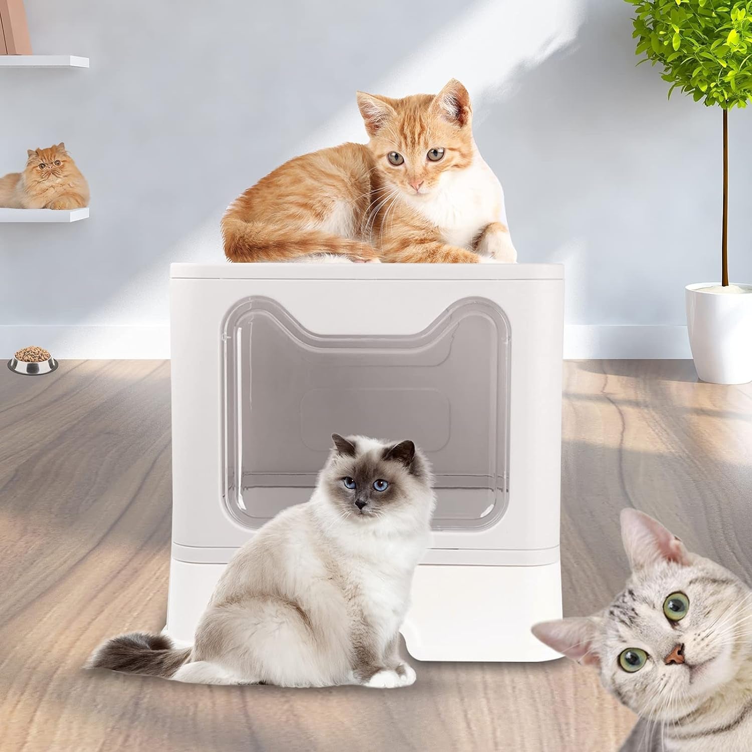 Foldable Cat Litter Box with Lid, Large Cat Litter Box Enclosed with Mat and Litter Scoop, Top Entrance Covered Litter Box Drawer Pan Design Type Kitty Litter Toilet for Cats